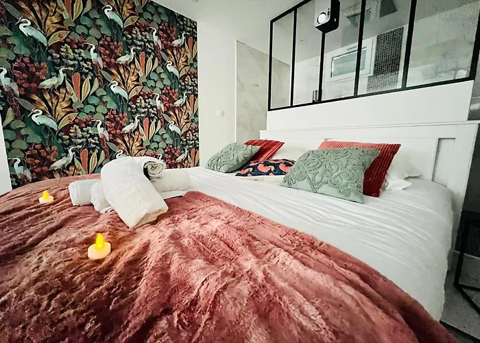 Apartament Detente Un Sejour A Part Nancy